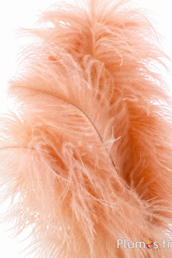Strauss - 30-40 cm - champagne-honig